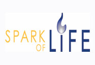 The-Spark-of-Life-Foundation